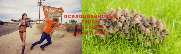 mdpv Баксан
