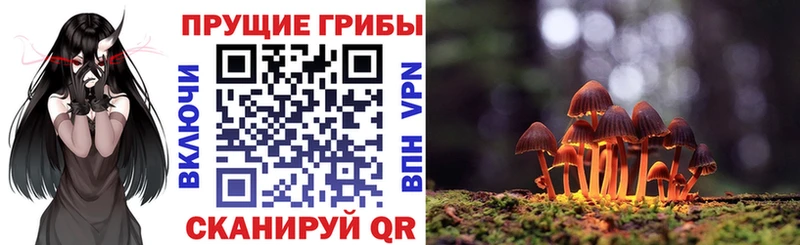 Галлюциногенные грибы мицелий Бор