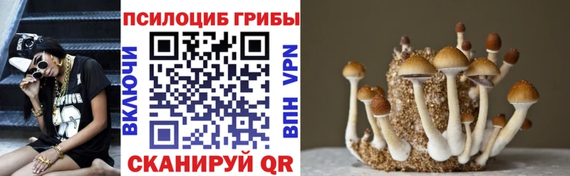 продажа наркотиков  Бор  Псилоцибиновые грибы ЛСД 